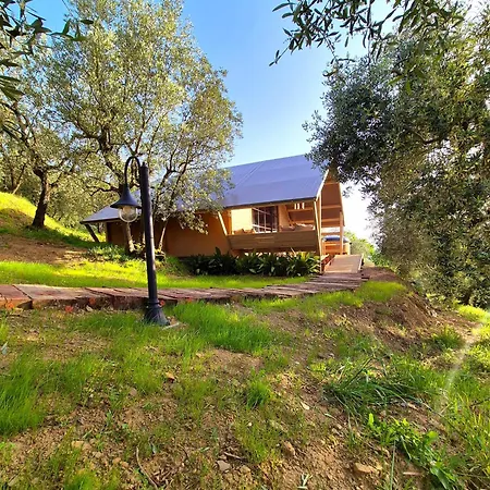 Glamping Rosso Baccara Campo de lujo *